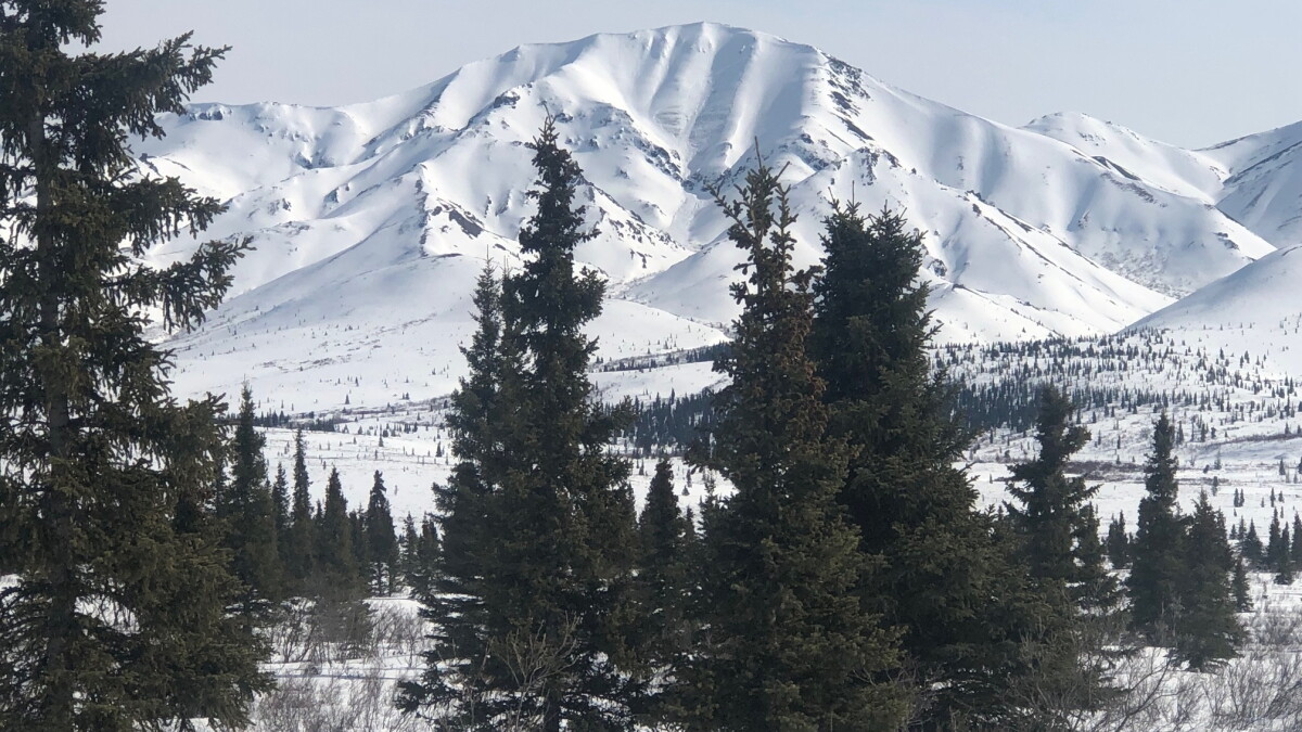 Snow Slide Kills Skier in Denali National Park - Vimarsana News
