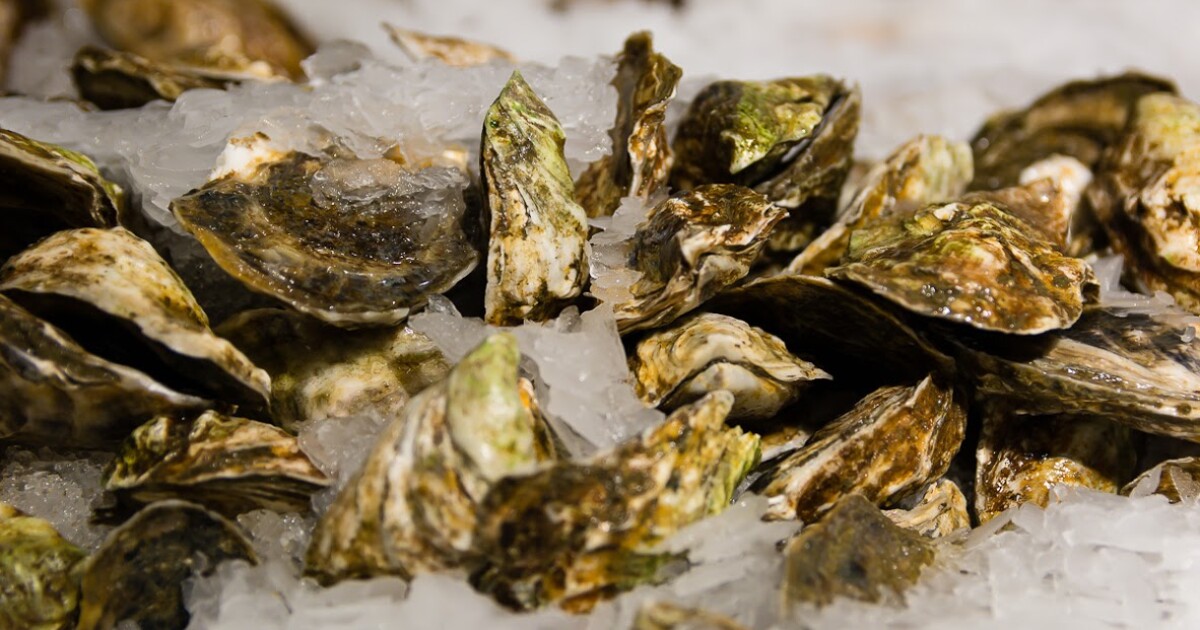 Flesheating bacteria linked to three deaths around Long Island Sound