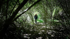 Robin Tracey, Environmental Education Specialist at Tuscarora State Park, walks the Spirit of Tuscarora trail.