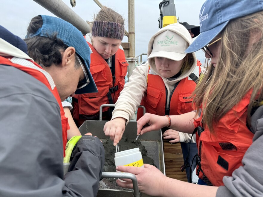 Four people surround a table using forceps to sort through sand on the deck of a boat.
