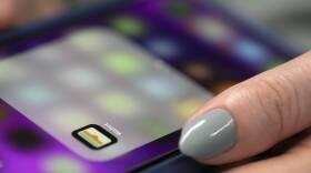 The Apple Pay app on an iPhone. (Jenny Kane/AP)