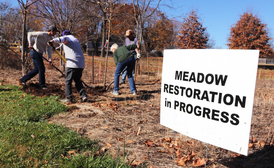 WDIY staff and volunteers along with Coopersburg Borough officials plant trees in Meadow Park.