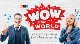 Guy Raz and Mindy Thomas