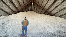 A man standing in front of a tall pile of cottonseeds