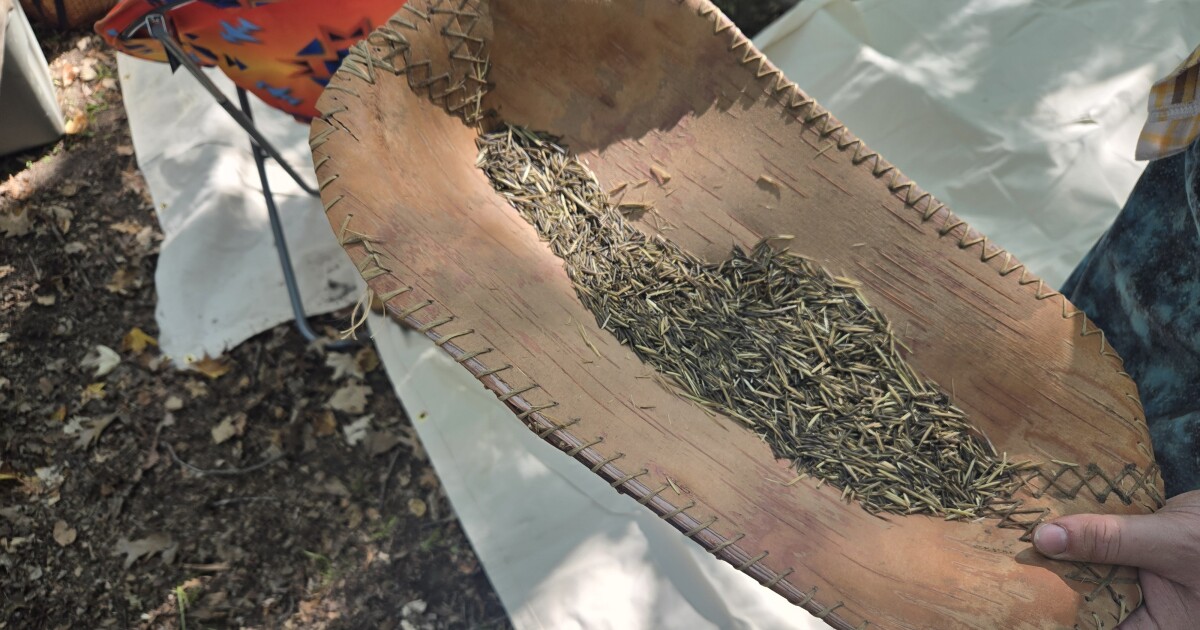 MSU summit explores how Indigenous communities can build access to traditional food practices