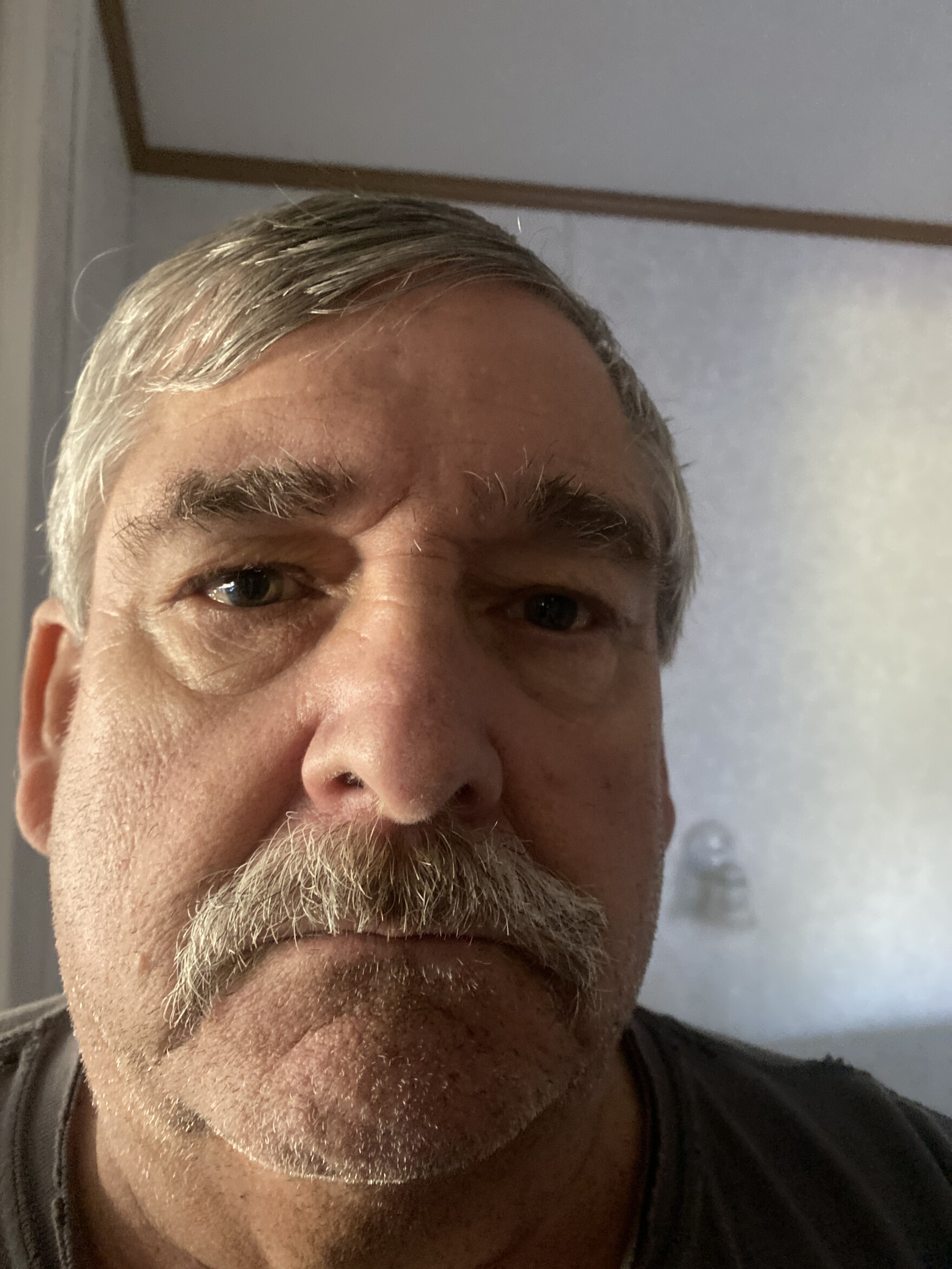 Wrenshall 2024 Election Guide KAXE