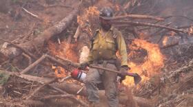 Person outfitted in firefighting gear stands near burning ground, holding a drip torch.