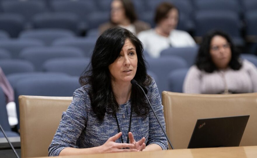 Sen. Heather Gustafson from Vadnais Heights, Minn. speaks into a microphone at a Senate hearing.