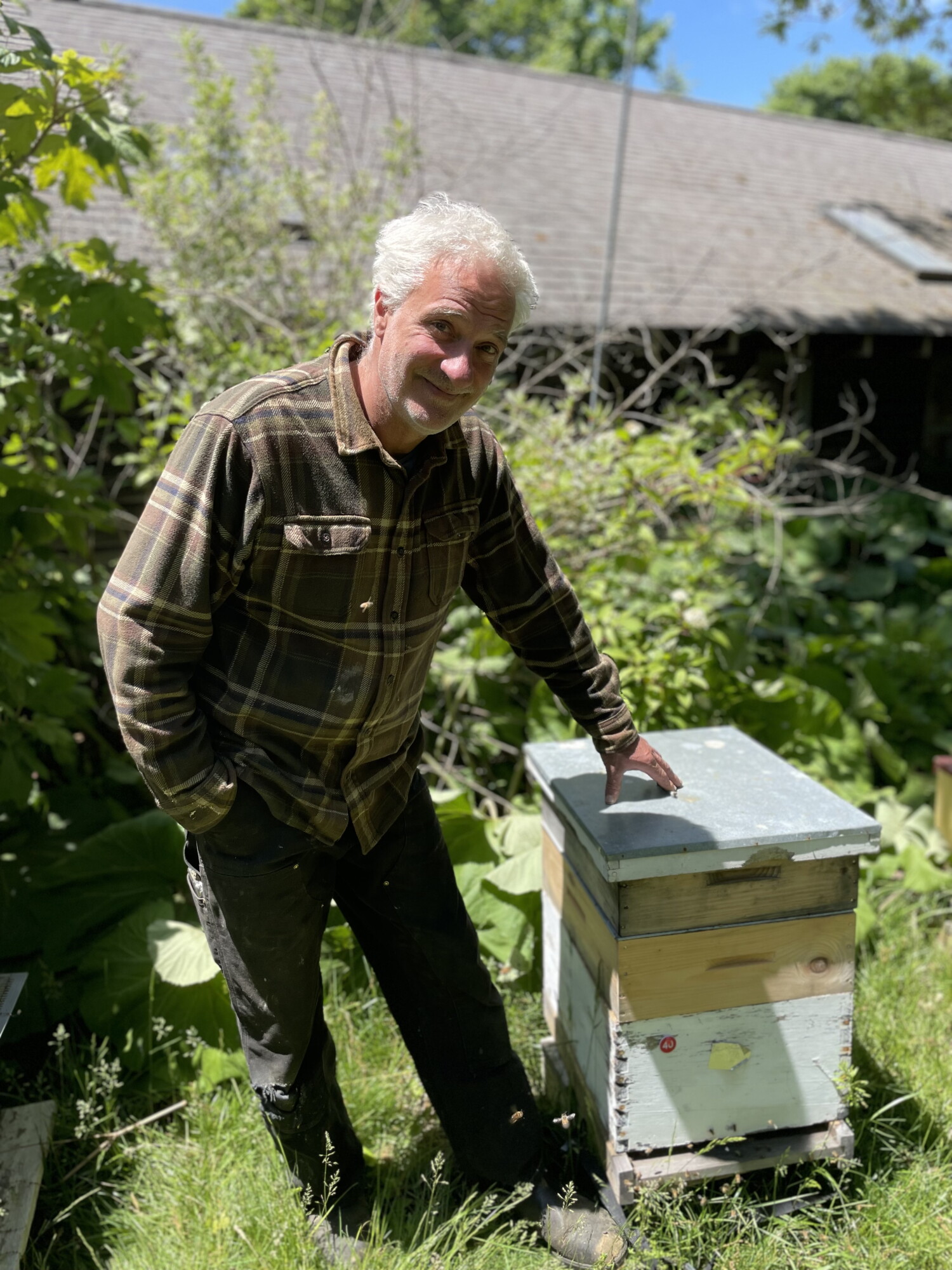 A beekeeper on Martha’s Vineyard rears his own Queens episode artwork