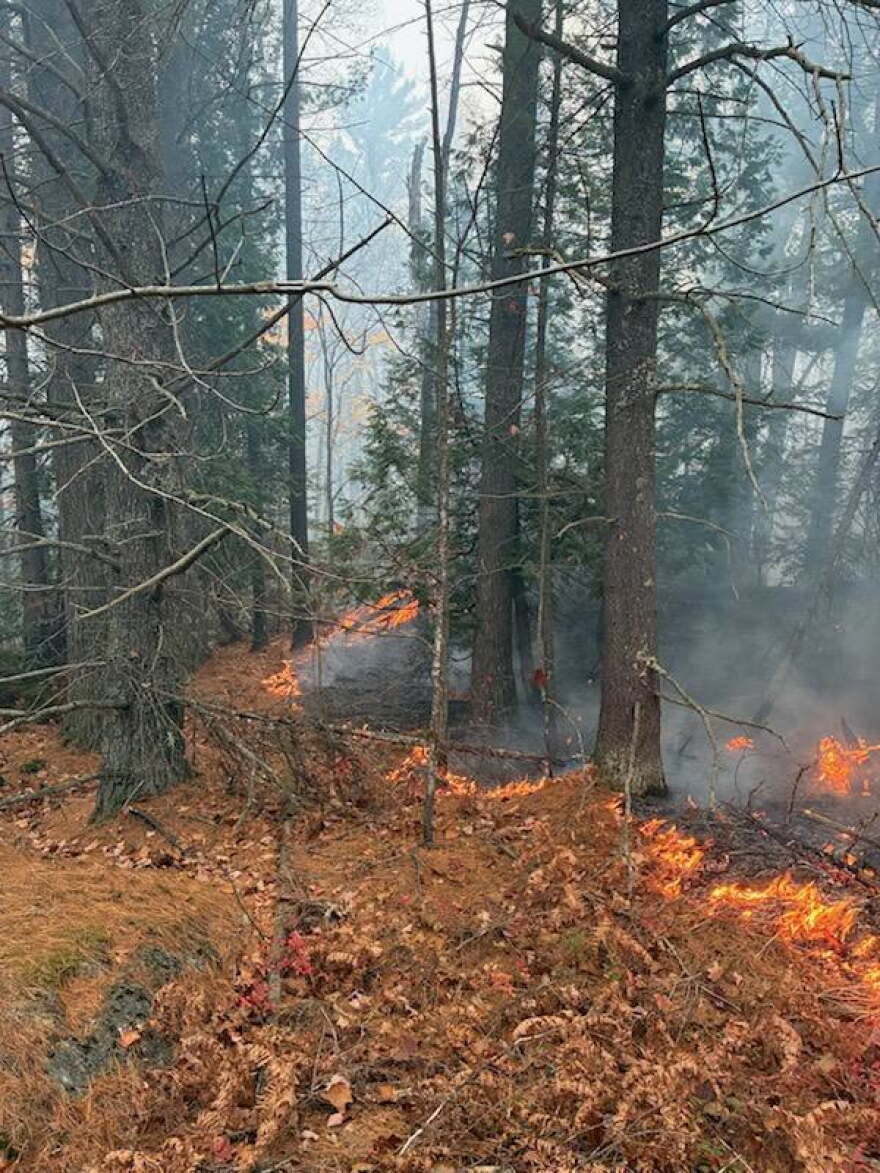 wildfire burning leaf layer
