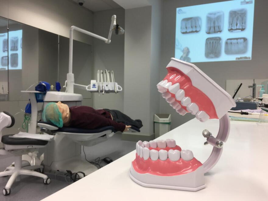 A picture taken on September 25, 2018 shows a denture and a hyper realistic mannequin during a training session for students of the faculty of dental surgery in Strasbourg. (Marc Antoine Baudoux/AFP via Getty Images)