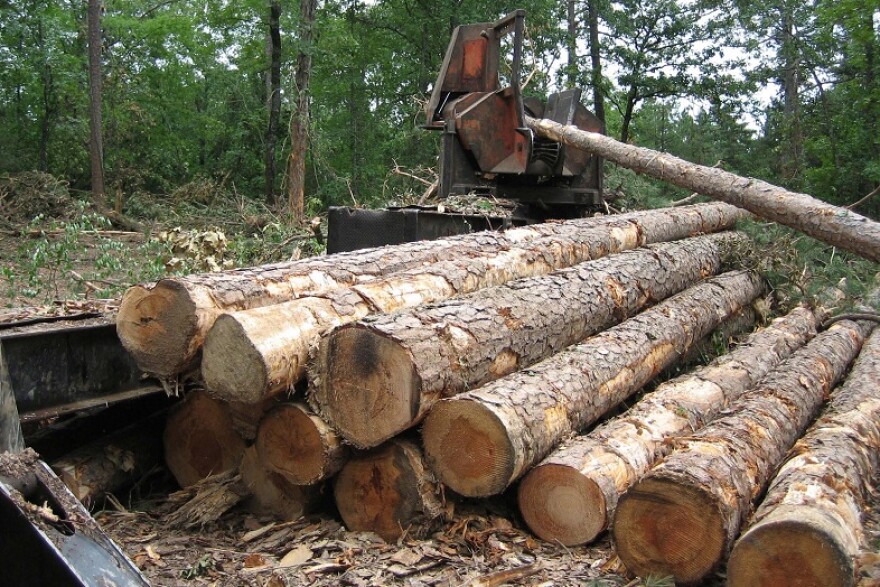 Logging already occurs in national forests, including in the Ouachita National Forest.
