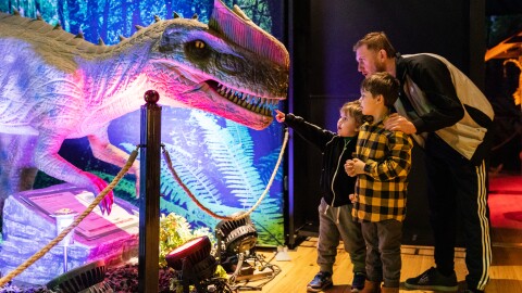Dinosaur at Dino Safari
