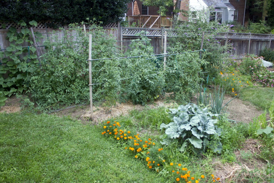 What's your gardening resolution?