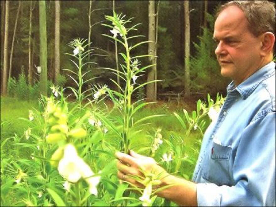 Dr. David Shields