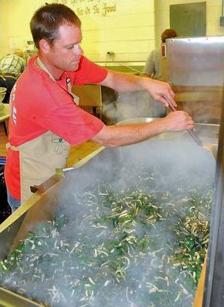 Apprentice cook Ryan McClung sautées ramps for the 2012 ramp festival in Richwood, West Va.