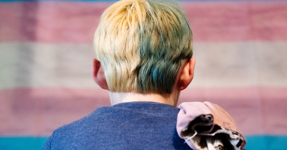 Missouri House hears bills to permanently extend restrictions on transgender people