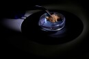 A forensic expert handles a gold-bearing sample during analysis at the National Institute of Criminalistics in Brasilia, Brazil, Monday, July 13, 2026.