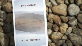 "In the Distance," by Hernan Diaz. (Robin Lubbock/WBUR)