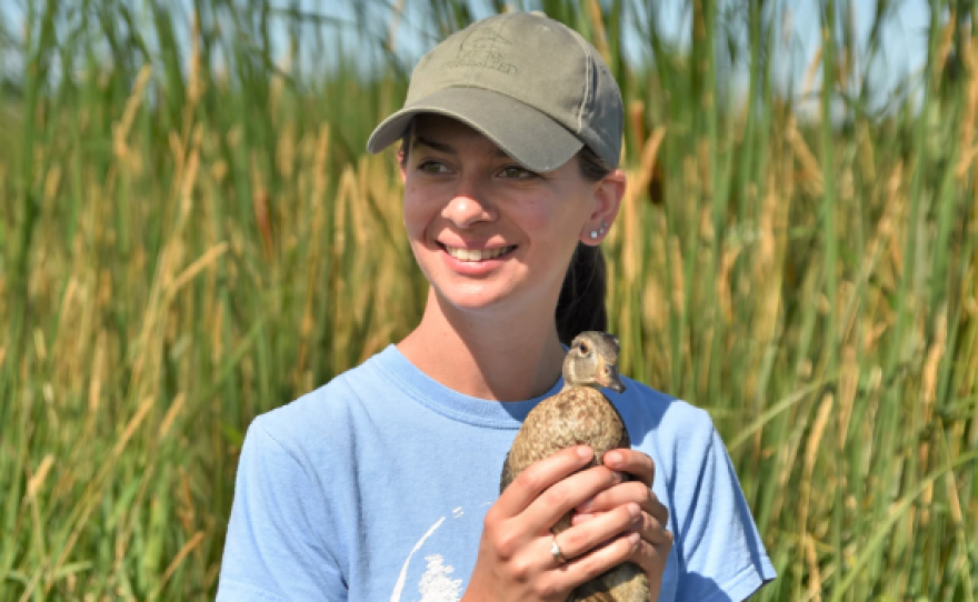 woman holding a small duck with marshy reeds behind her