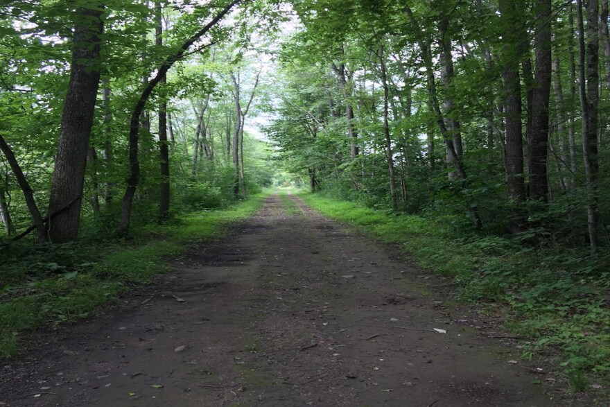 moraine.jpg