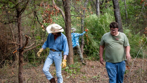 Volunteers cut down privet at Pontotoc Ridge Preserve.