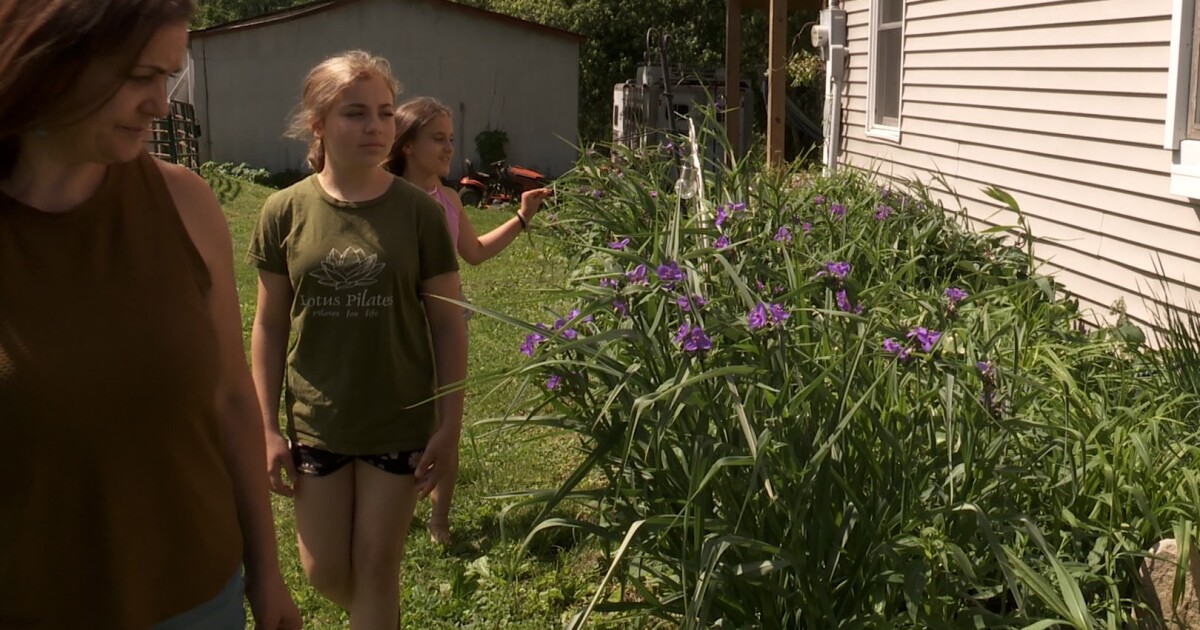 Growing native plants goes from niche to trend, helps environment