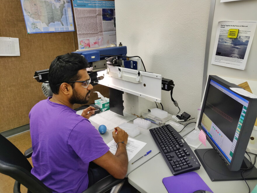 A student in the Paleoclimatology and Anthropology Studies lab at Louisiana State University tests core samples from the coral at Flower Garden Banks.