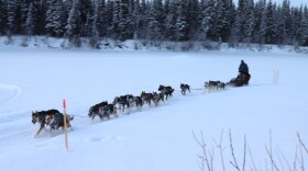 a musher and dog team in the snow