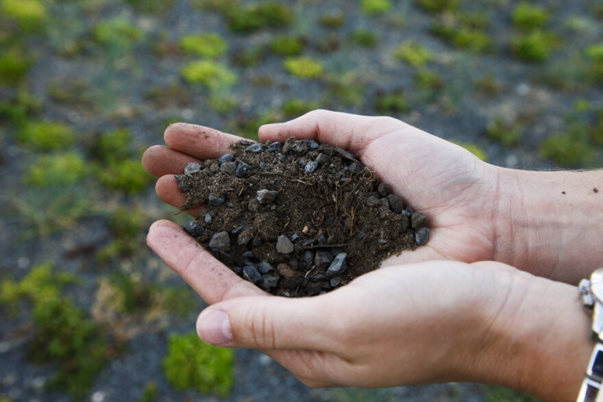 The majority of the plants on the roof are placed in about four inches of "growing media," a mixture of gravel, shale and sand that doesn't compact like organic soil and is lightweight.