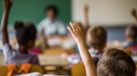 Rear view of schoolboy raising his hand to answer the question on a class at elementary school.