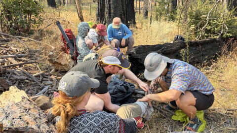 Medical students work in pairs to help the two hikers who were injured, using only what they brought with them on the hike.