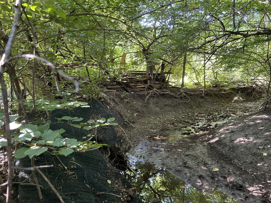 View of Liberty Creek, Late 2024.