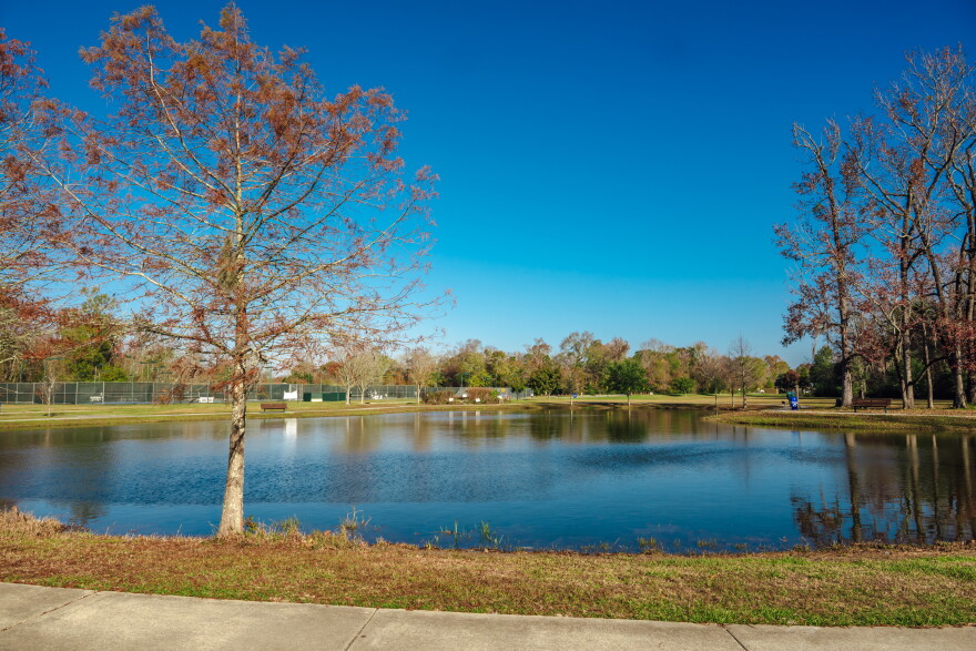 View of the lake at Forest View Park