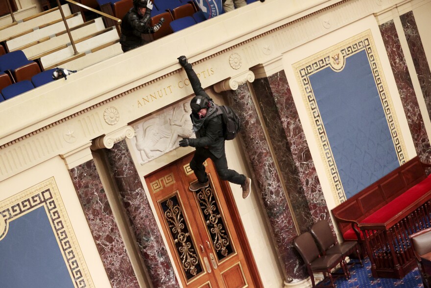 A protester is seen hanging from the balcony in the Senate Chamber.