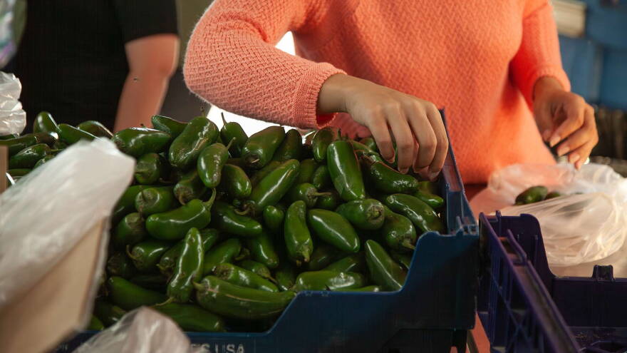 Tucson Food Share