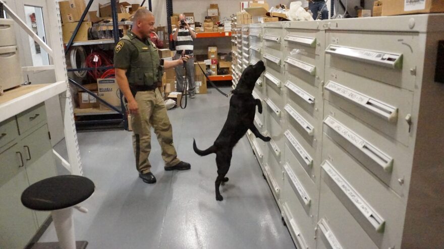 Reno safely detecting dangerous drug fentanyl from a series of drawers.