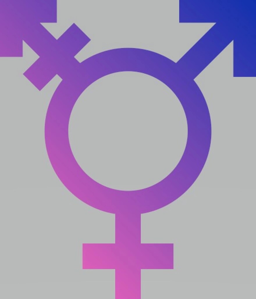 Florida House Bills Draw Fire from LGBTQ+ Community | WQCS