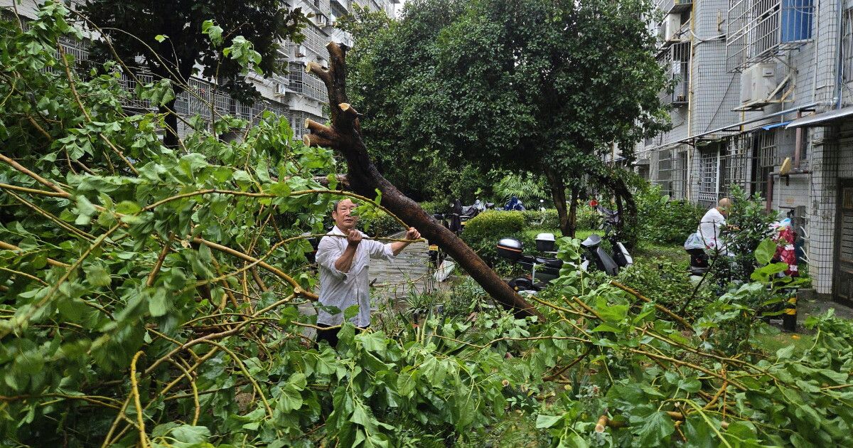 Busy typhoon season for Asia Pacific