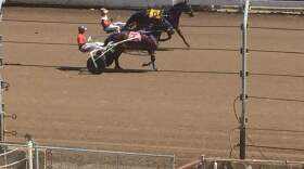 Harness racing at the Illinois State Fair in Springfield.