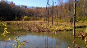 A wetland area at Leonard Springs Nature Park near Bloomington. Wetlands were the subject of legislation once again this year.