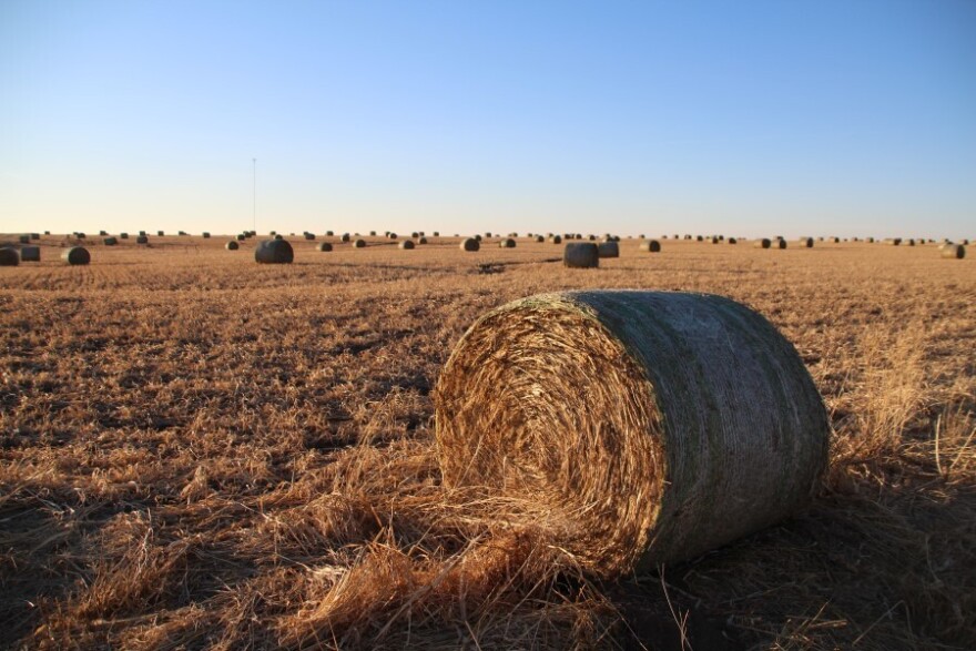 The Bahr family connects to the internet through the cell tower seen here beyond a field of hay bales in Barton County.