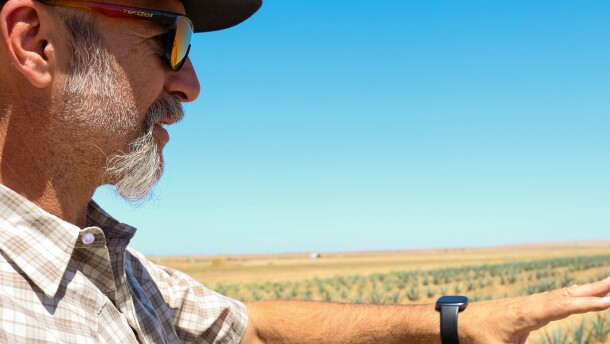 Merced farmer James Hunt looks out at his 14 acre plot of agave plants.