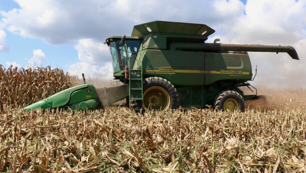 Common grain crops in Virginia Beach include soybeans and field corn, which is shown being harvested in the Back Bay area in this file image.