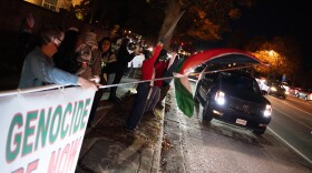 About 75 people showed up to call for a ceasefire in Gaza before Norfolk's annual Grand Illumination parade (Photo by Zach D. Roberts)