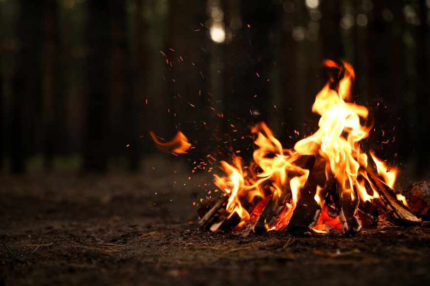small bonfire with burning firewood in forest