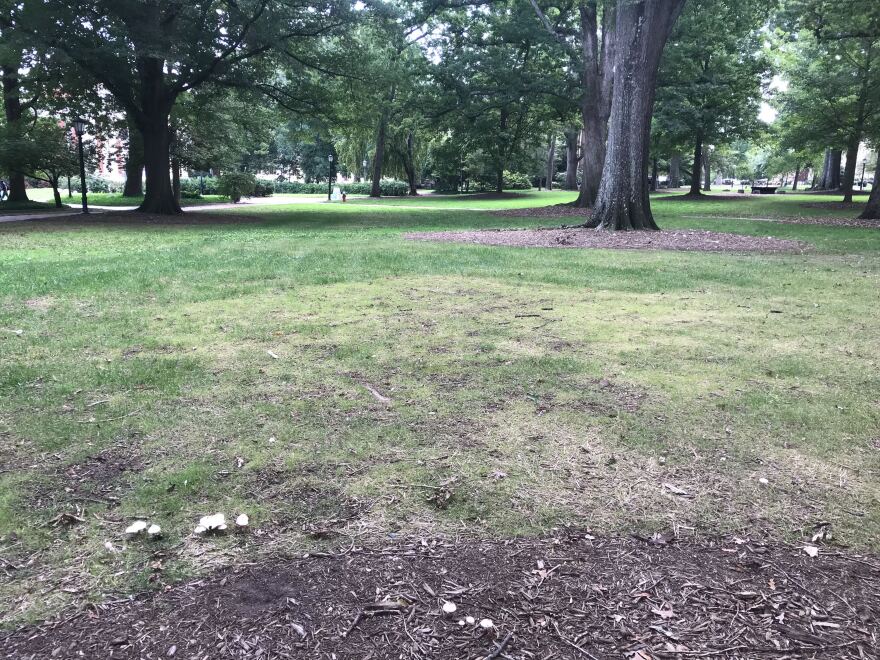 A patch of new grass shows where the Confederate statue known as Silent Sam once stood.