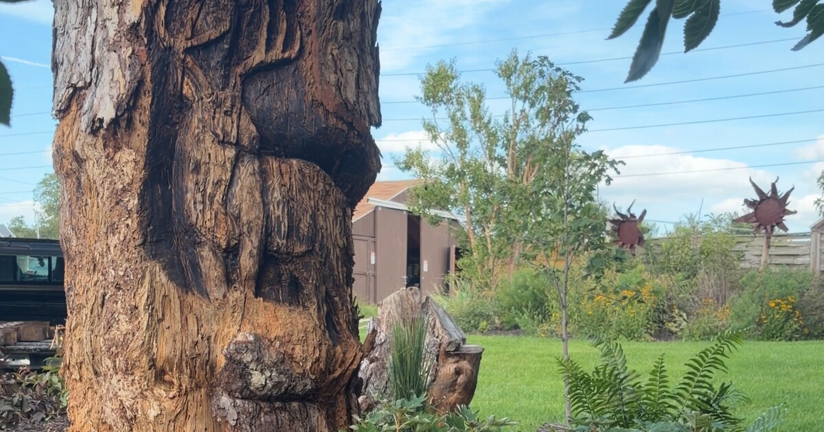 Felled trees get second life at ISU Horticulture Center's Logarium