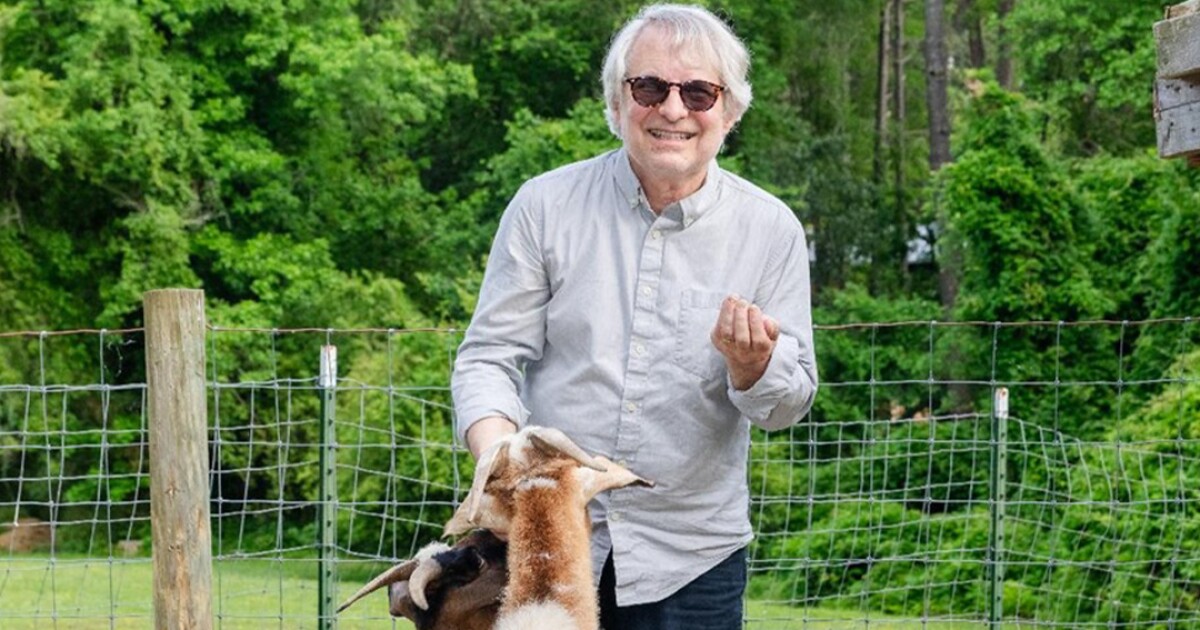 Into Music: Chris Stamey