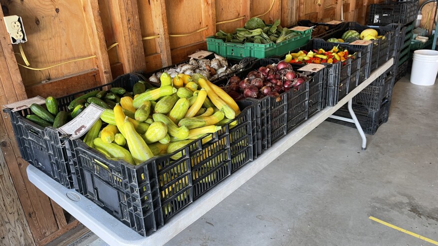 Produce from Provider Farm in Salem, Connecticut